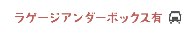 ラゲージアンダーボックス有
