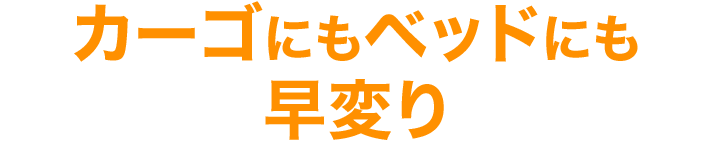 カーゴにもベッドにも早変り